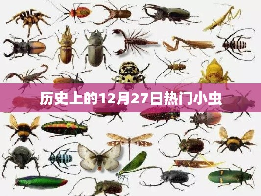 历史上的热门小虫，揭秘十二月二十七日那些事儿