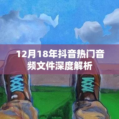 抖音热门音频文件深度解析揭秘
