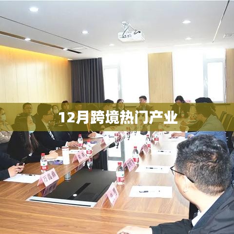 跨境热门产业概览，聚焦十二月动态