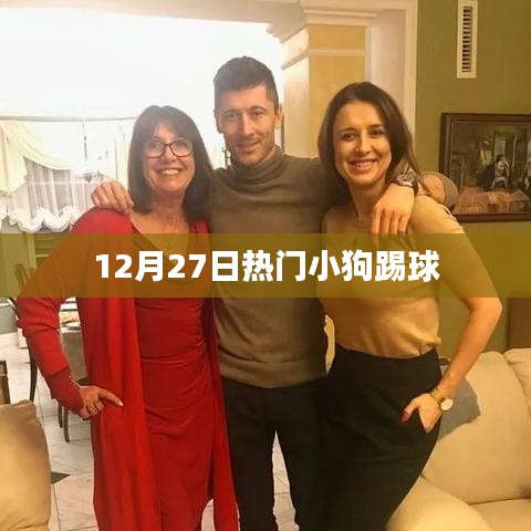 小狗踢球狂欢，揭秘热门事件背后的故事