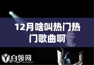 热门歌曲大盘点，12月音乐风潮解析