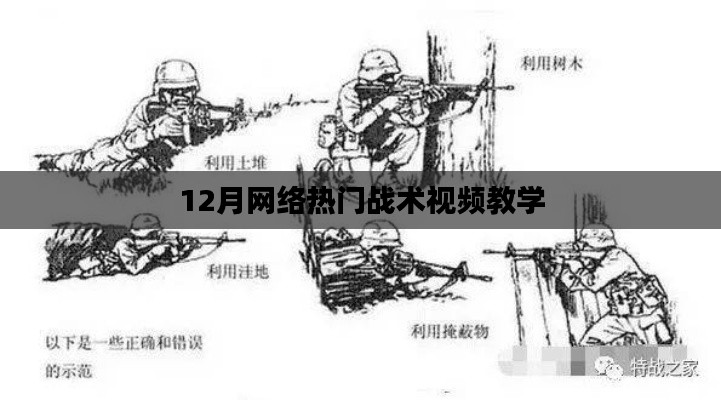 12月网络热门战术解析与教学视频