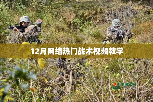 12月网络热门战术解析与教学视频