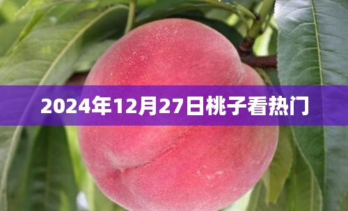 桃子带你探秘热门事件，2024年12月27日速递