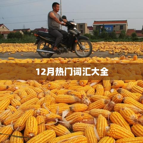 12月流行词汇一网打尽