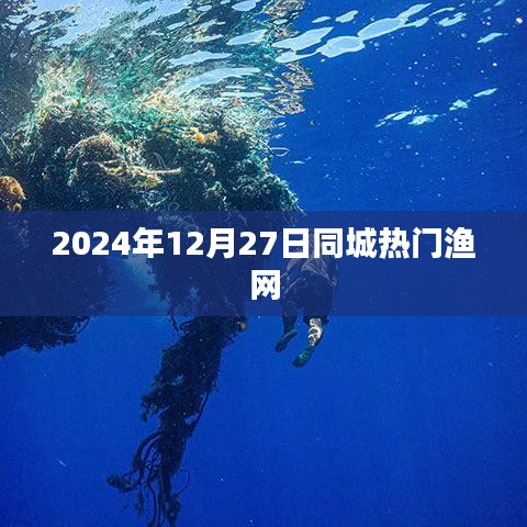 2024年同城热门渔网资讯一网打尽