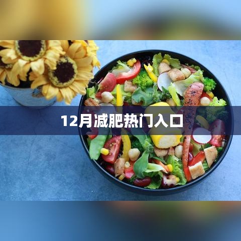 冬季瘦身秘诀，热门减肥入口来袭！
