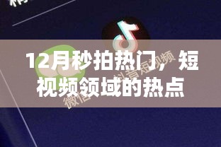 秒拍热门短视频趋势解析，热点与未来展望