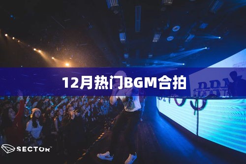 12月热门BGM合拍，舞动节奏新风尚