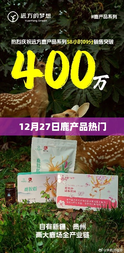 鹿产品热点解析，12月27日市场趋势观察