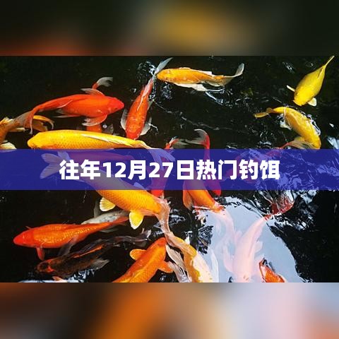 往年12月27日钓鱼热门钓饵推荐