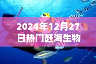 『最新赶海生物图鉴下载，一网打尽海洋生物奥秘』