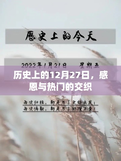 历史上的大日子，感恩与热点的交汇
