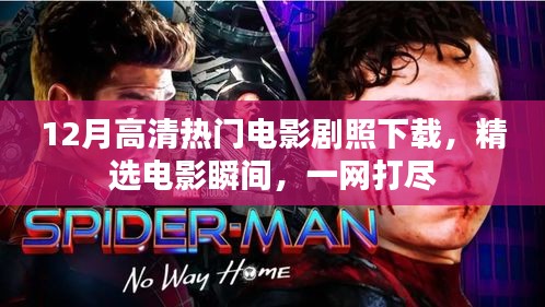 精选高清热门电影剧照下载，瞬间领略电影魅力