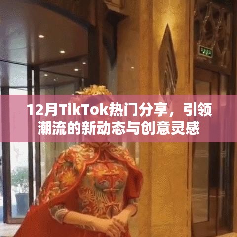 TikTok十二月潮流分享，新动态与创意灵感大放送