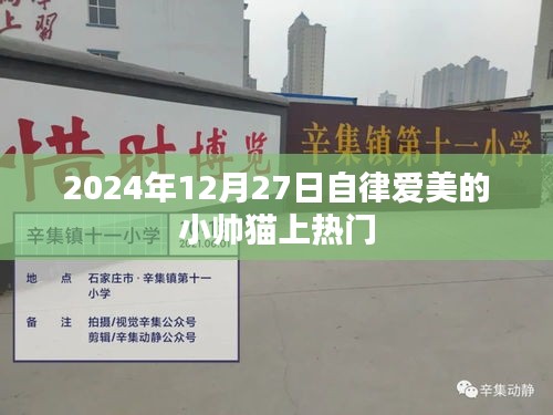自律爱美小帅猫走红，2024年12月27日成焦点
