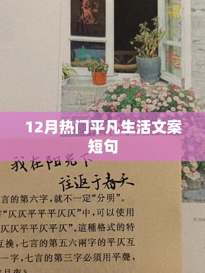 12月生活点滴，平凡中的温暖瞬间