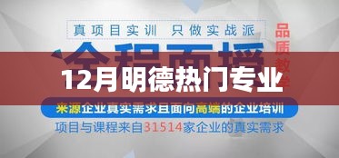 明德热门专业解读，深度了解十二月热门专业