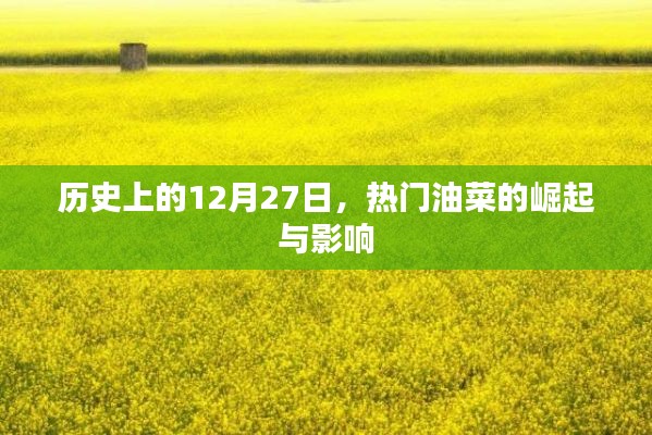 热门油菜崛起日，回顾历史影响