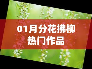 模特 第39页