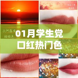学生党口红热门色号平价推荐（一月精选）