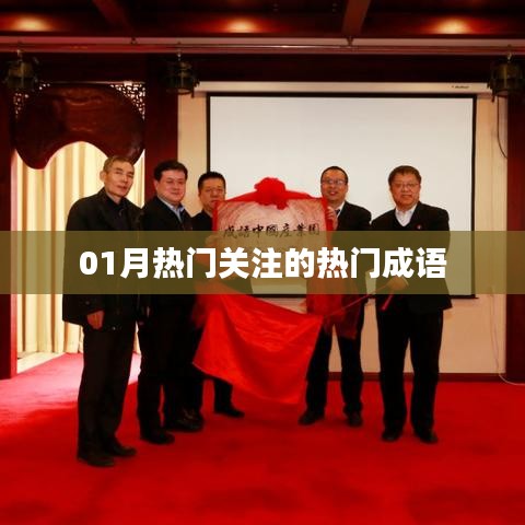 热门成语大揭秘，一月份最受瞩目词汇