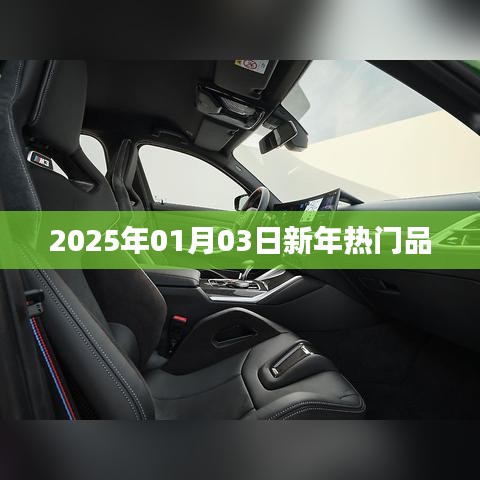 新年热门品盘点,展望2025年流行趋势