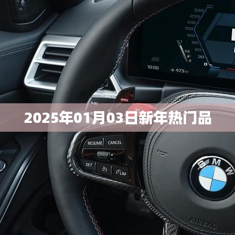 新年热门品盘点,展望2025年流行趋势