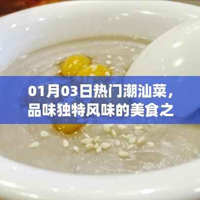 01月3日潮汕菜美食盛宴，独特风味之旅