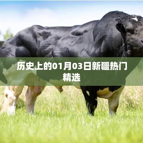 历史上的新疆热门精选，一月三日回顾