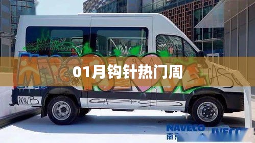 月钩针编织新风尚，一周热门教程