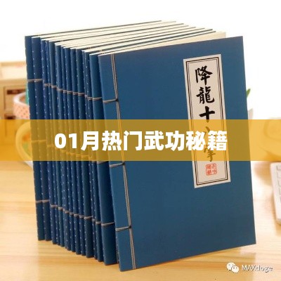 一月热门武功秘籍盘点
