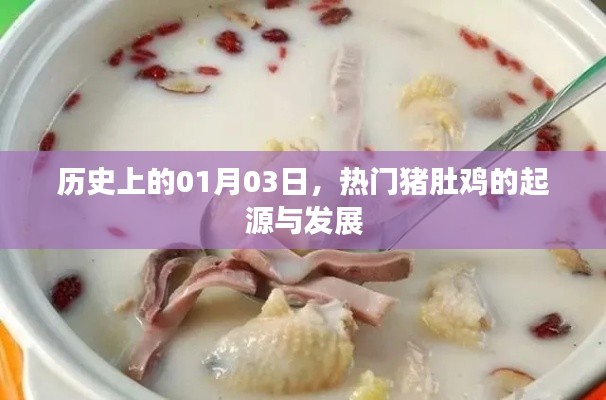 热门猪肚鸡起源与发展，历史视角下的01月03日