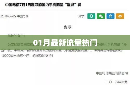 最新流量热门排行解析