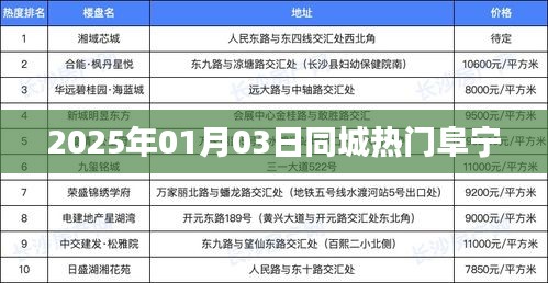 阜宁同城热门活动一览（2025年1月）