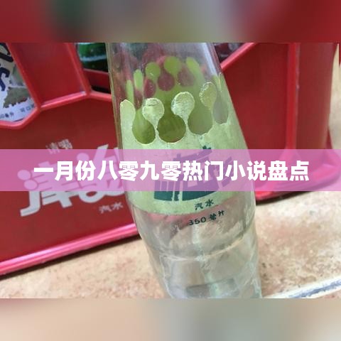 一月份八零九零小说热门盘点