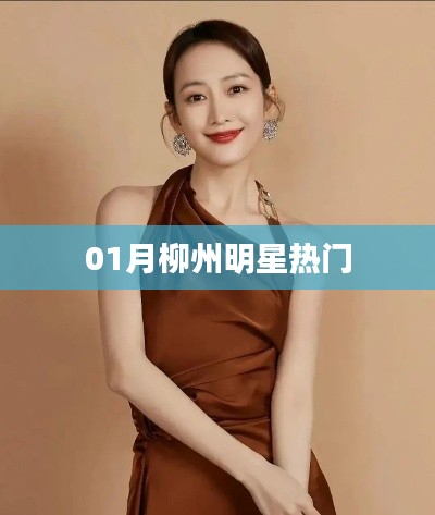 柳州明星一月热门风采