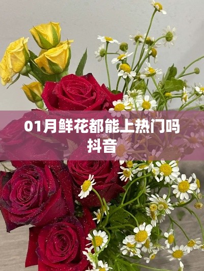 抖音热门与一月鲜花，关系揭秘