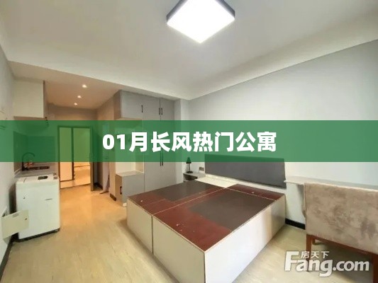 一月长风公寓热门榜单
