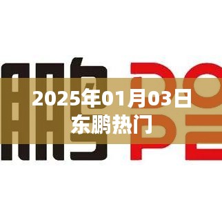 东鹏热门资讯，2025年1月3日动态