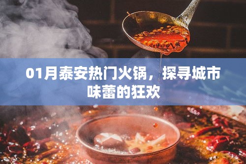 泰安一月份火锅盛宴，味蕾狂欢指南