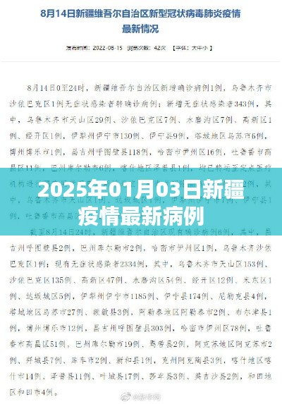 新疆疫情最新病例报告（截至2025年1月3日）