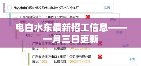 电白水东最新招工信息更新，一月三日的就业机会