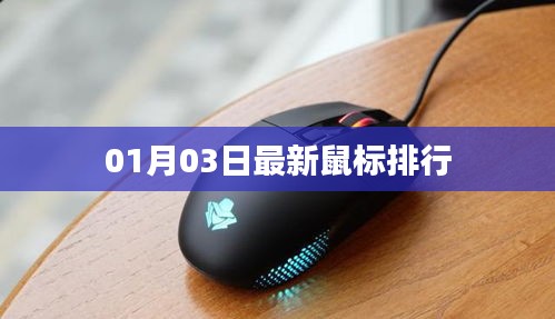 乌鸟私情