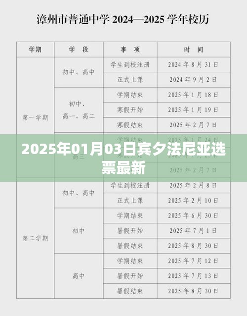宾夕法尼亚州最新选票结果（2025年1月3日）