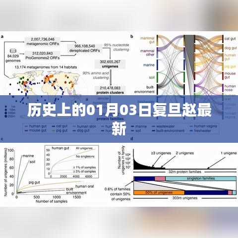 复旦赵最新，揭秘历史上的01月03日事件