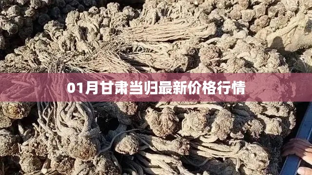 甘肃当归最新价格行情（一月更新）