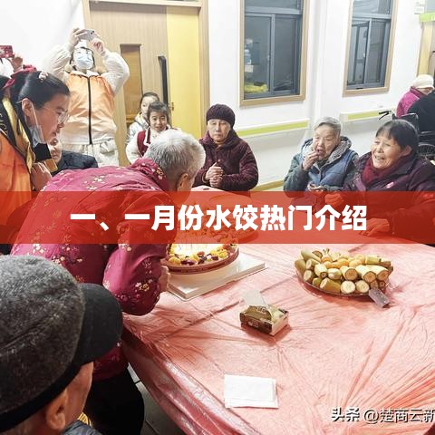 一月份热门水饺介绍与推荐