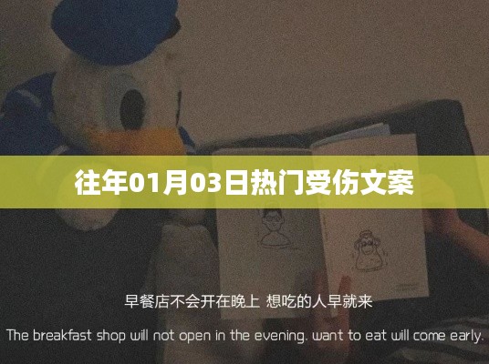 精选元旦受伤情感文案回顾