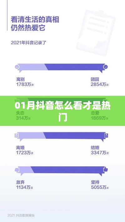 抖音热门观看指南，一月热门内容解析